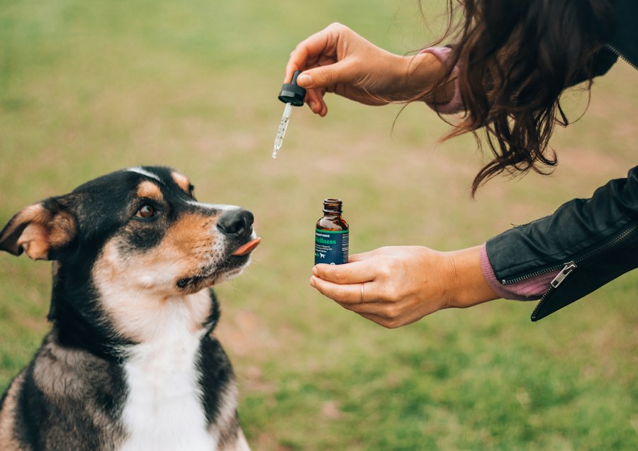 vape cartridge
