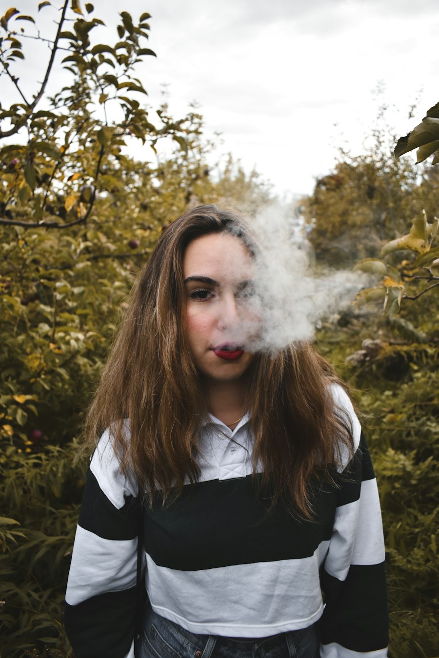 vape starter kit
